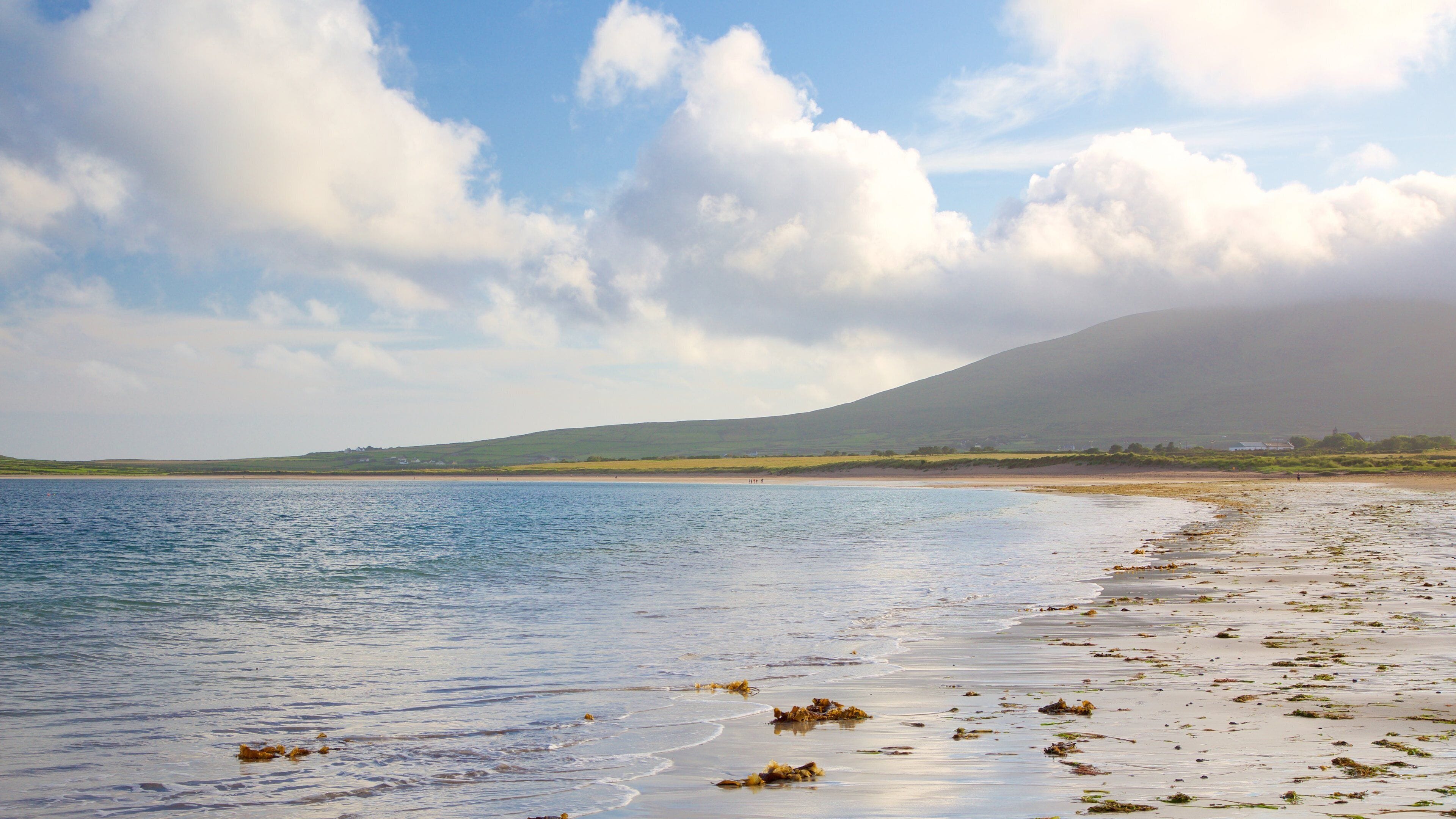 Ventry Beach showing general coastal views and a sandy beach