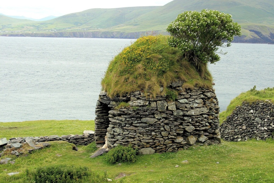One of the many abandoned 'huts' on the Great Blasket (An Blascaod Mór). The island was inhabited until 1953 when the Irish government evacuated the island. Many of the population immigrated to Springfield, Massachusetts in the USA.