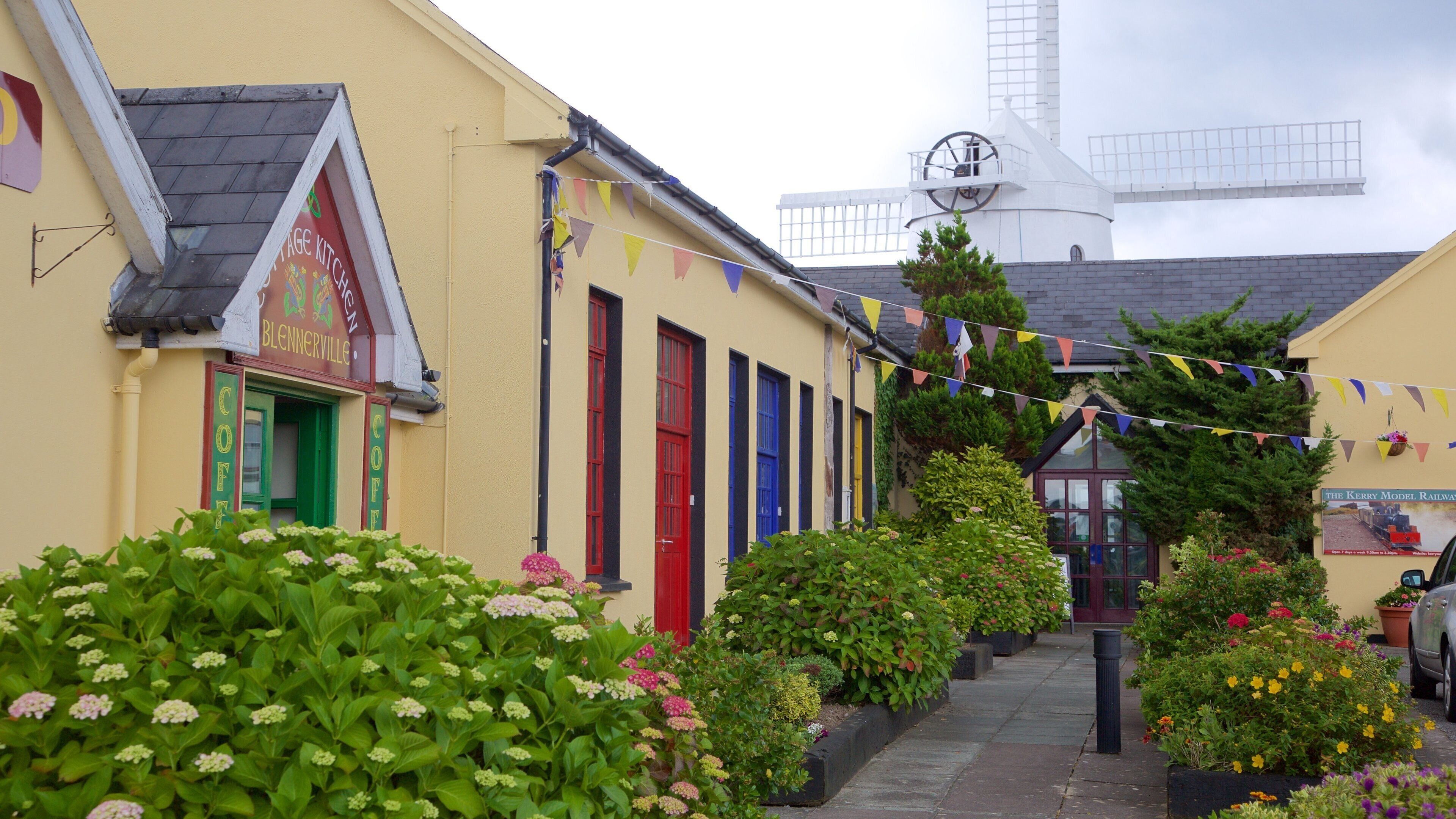 Blennerville Windmill featuring flowers and a windmill
