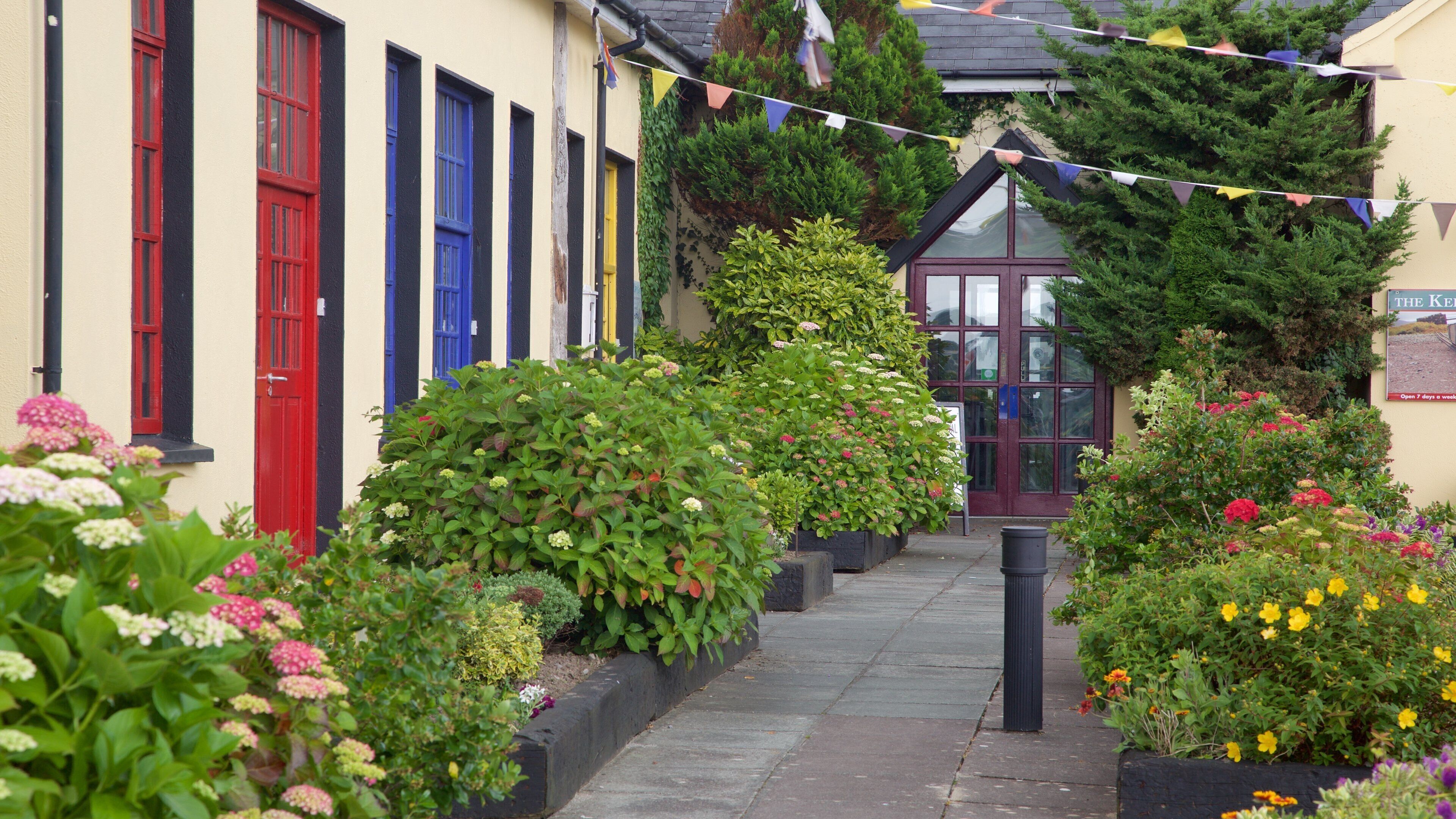 Blennerville Windmill which includes flowers