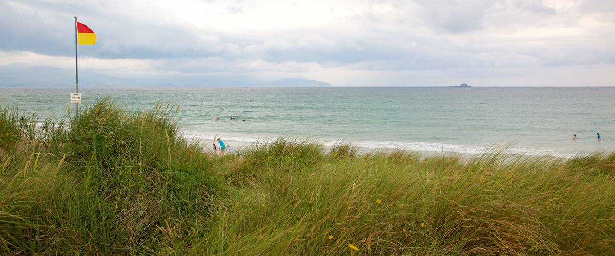 ๋ฐด๋ ๋น์น ์ด ํฌํจ ํด๋ณ ๊ณผ ์ผ๋ฐ ํด์ ์ ๊ฒฝ