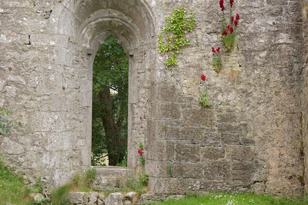 Lough Gur featuring a ruin, heritage architecture and heritage elements