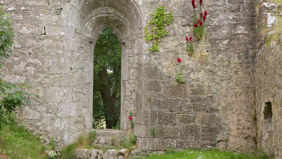 Lough Gur which includes heritage elements, building ruins and heritage architecture