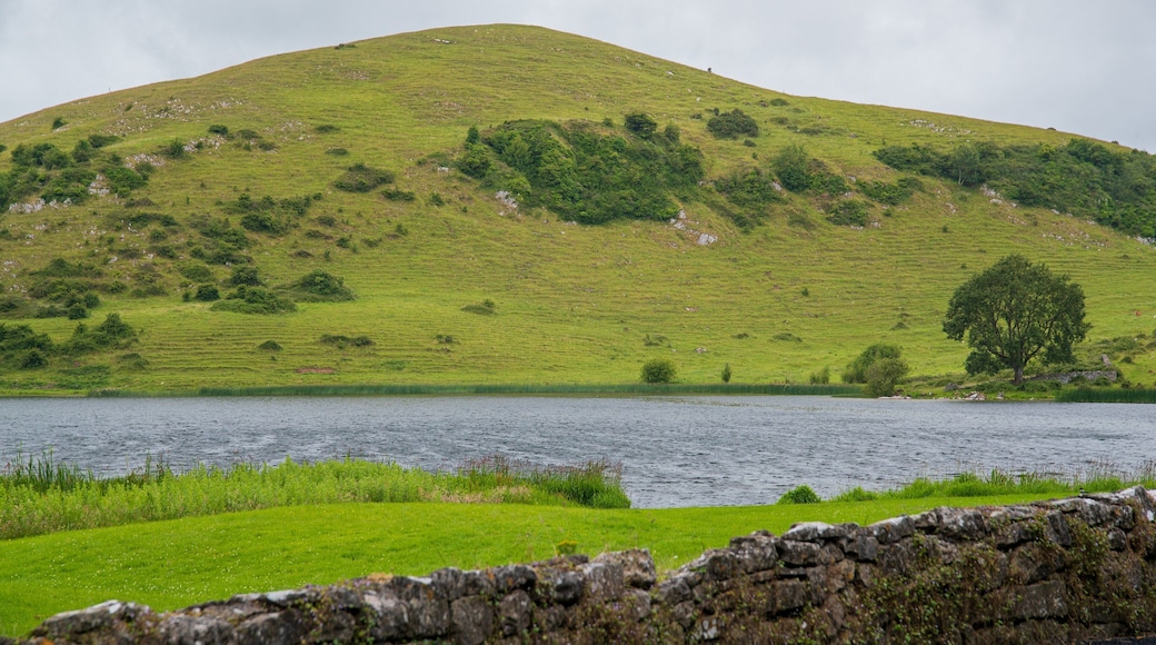 Lough Gur featuring a river or creek, mountains and tranquil scenes