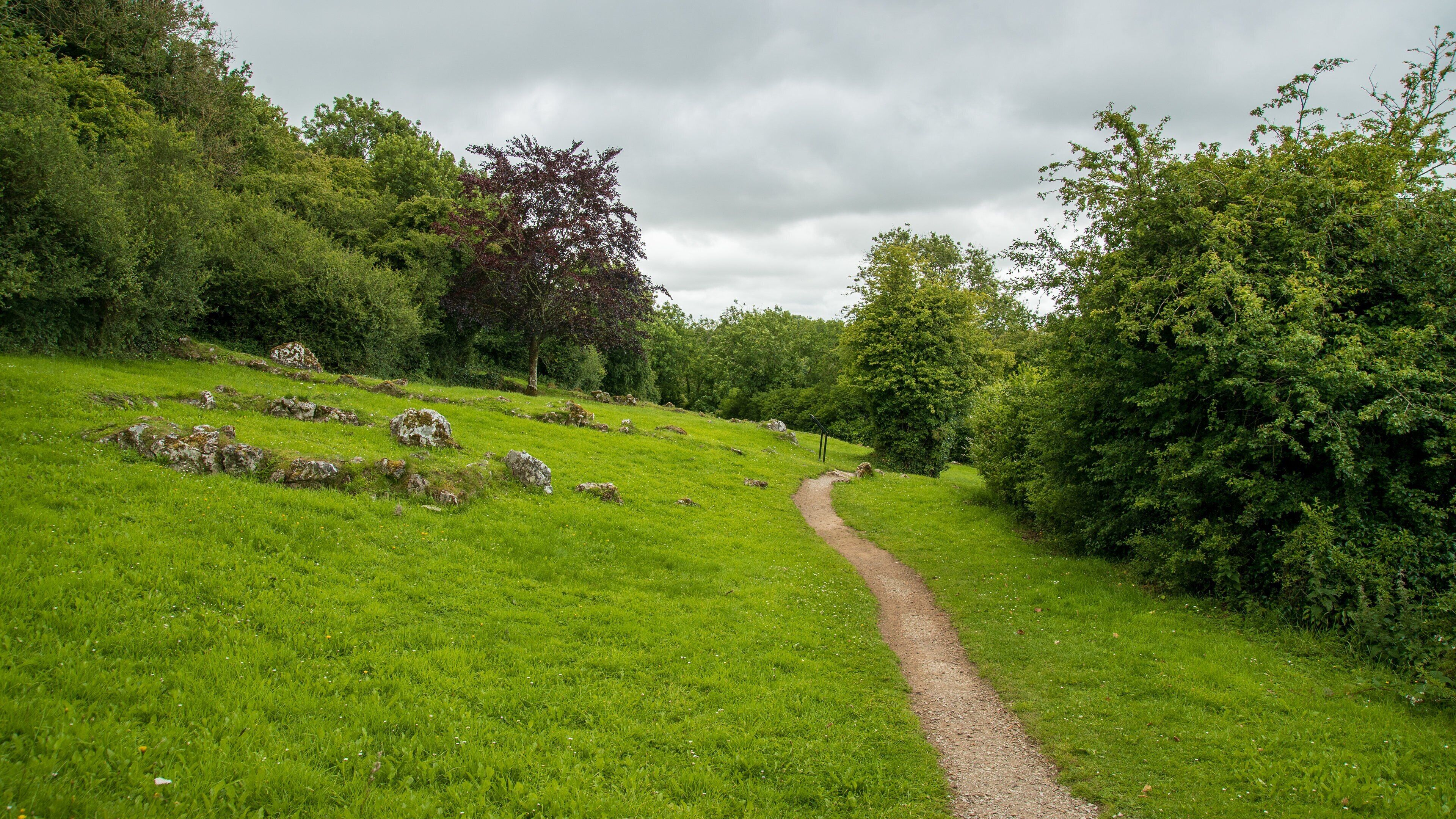 Lough Gur showing a park