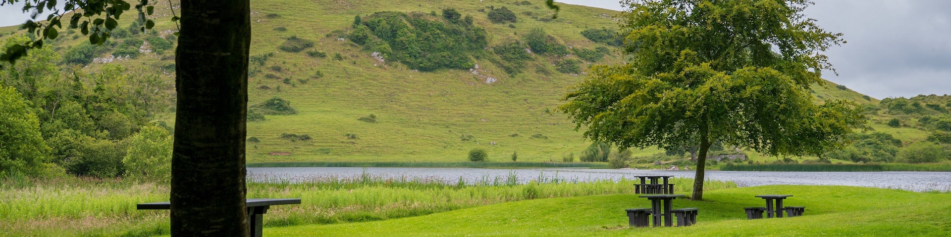 Lough Gur which includes a river or creek, mountains and a garden