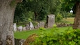 A stone circle with a tree in the foreground.