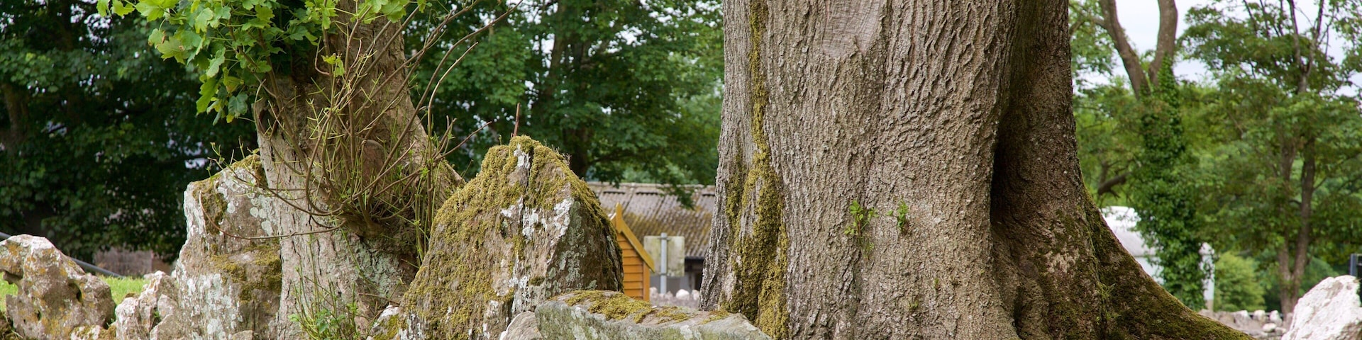 Grange Stone Circle which includes heritage elements and a monument
