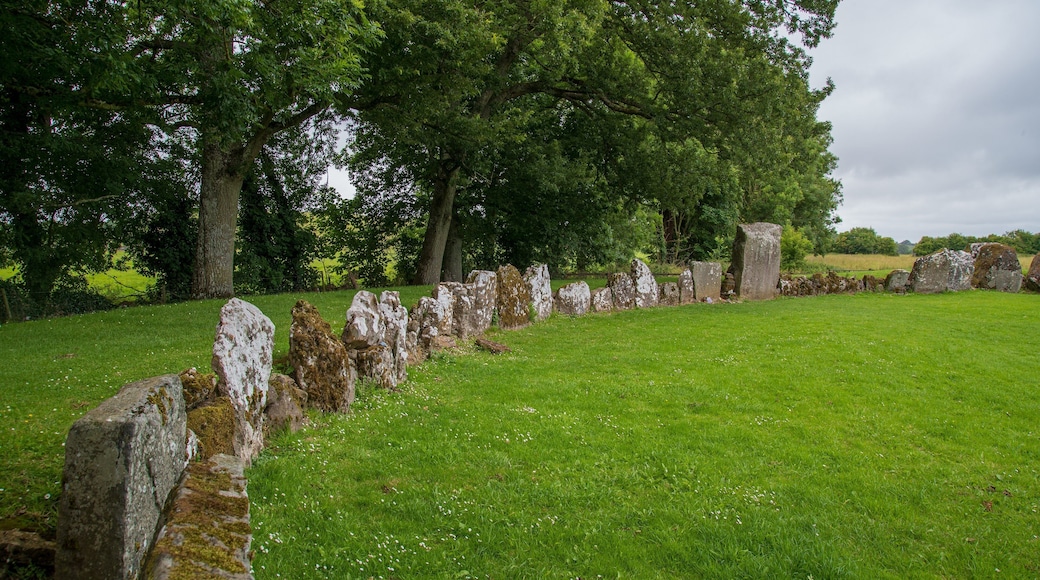 Grange Stone Circle which includes a park