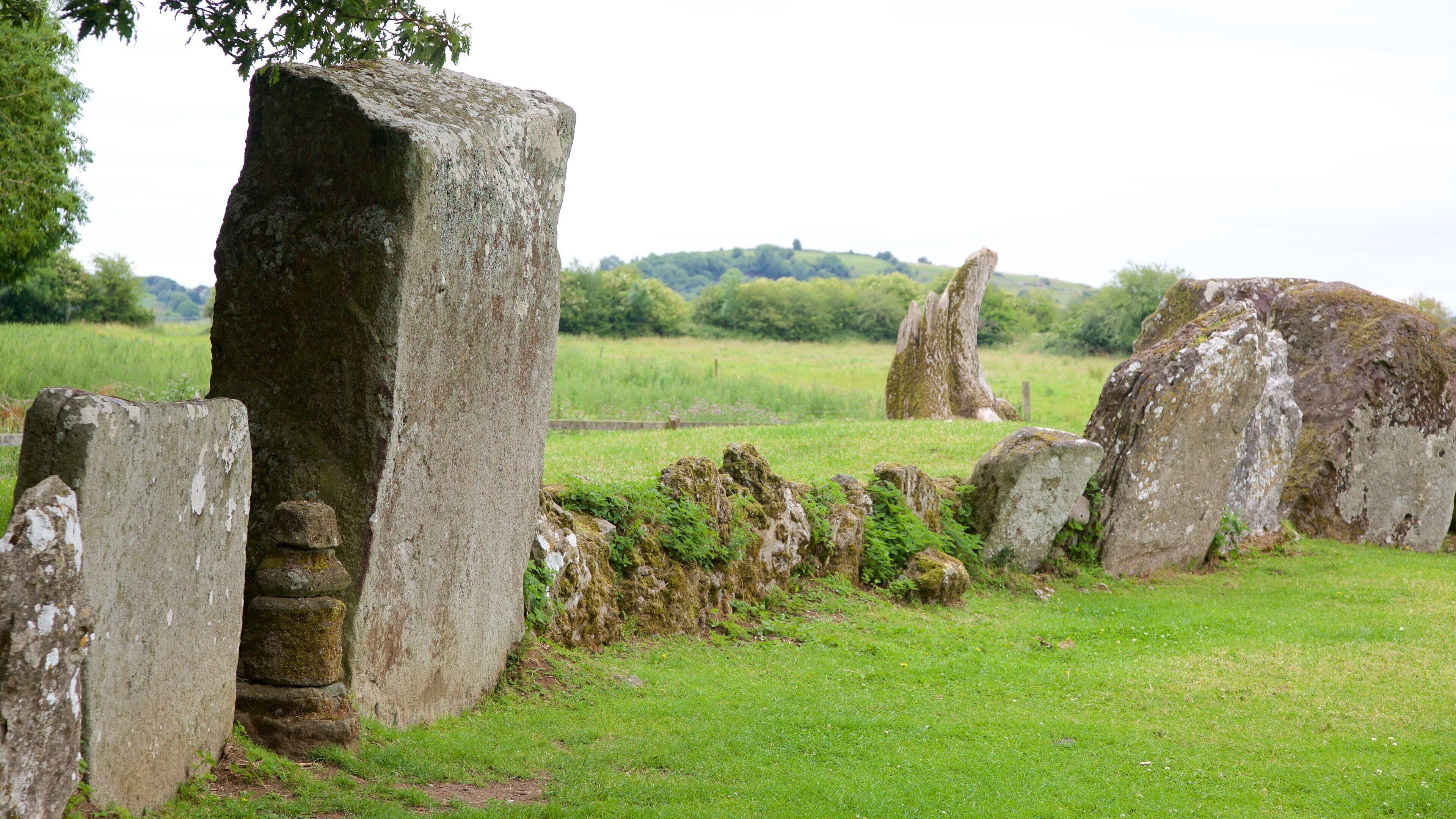 Grange Stone Circle Tours - Book Now | Expedia