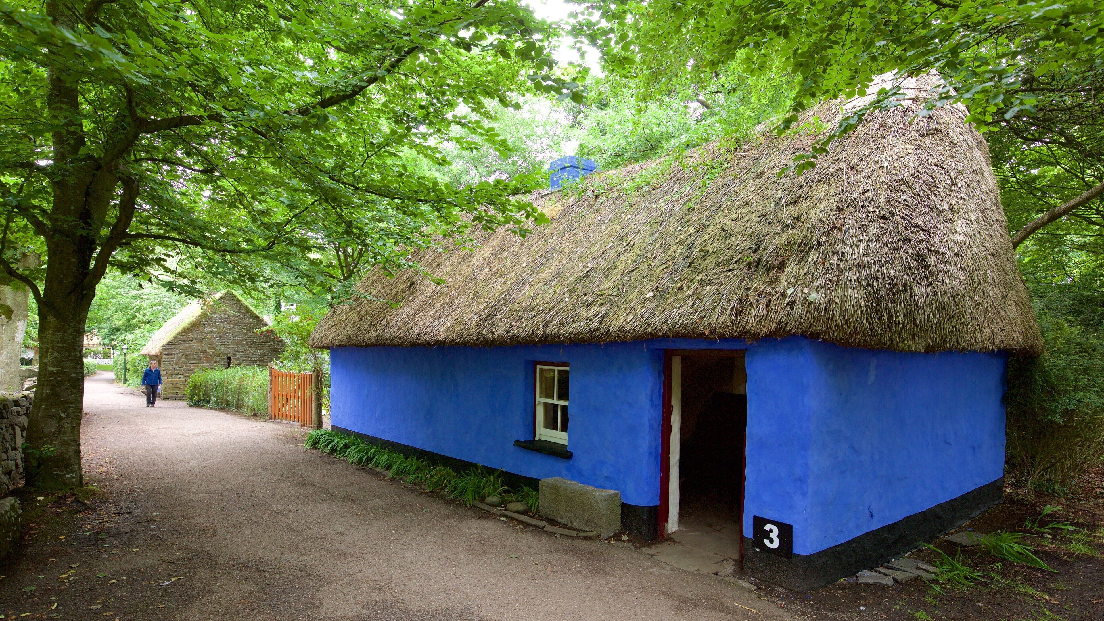 Bunratty Castle and Folk Park showing street scenes, heritage elements and heritage architecture
