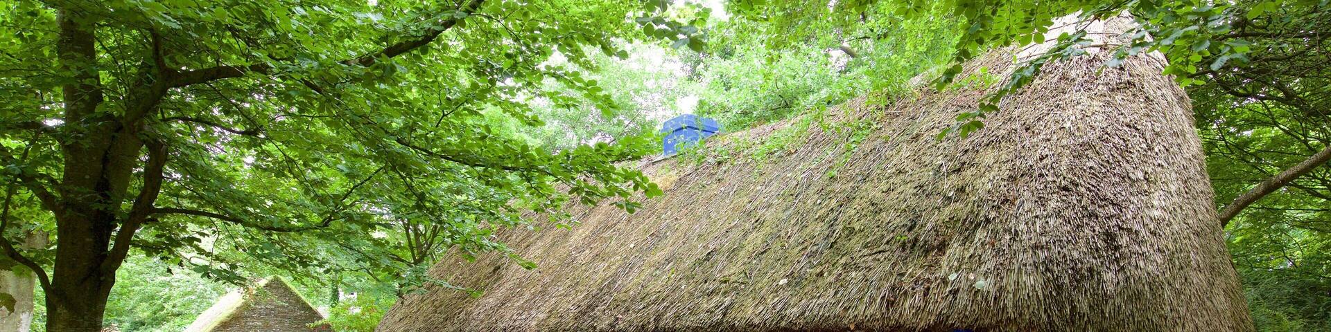 Bunratty Castle and Folk Park featuring heritage architecture, heritage elements and street scenes