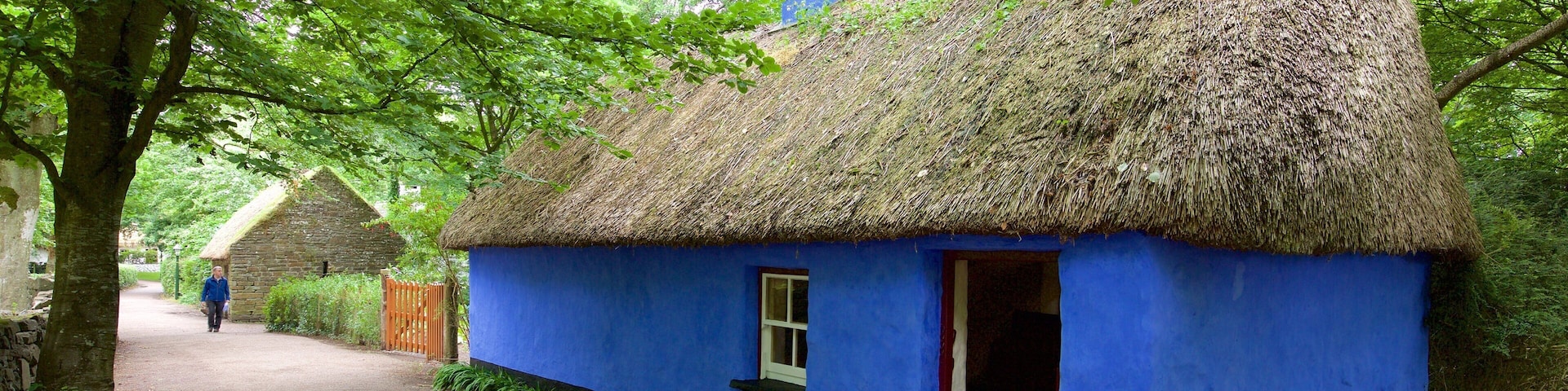 Bunratty Castle and Folk Park showing heritage elements, street scenes and heritage architecture