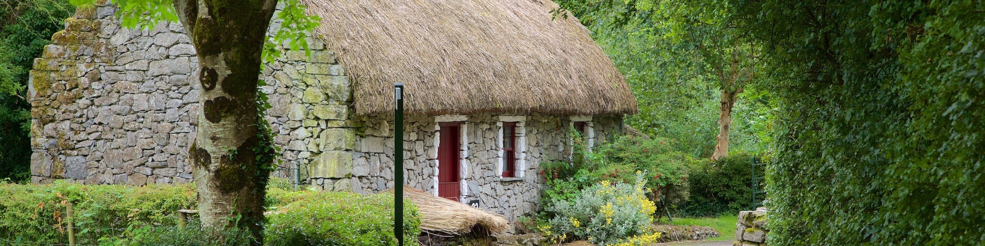 ChĂąteau et parc de Bunratty mettant en vedette parc, maison et patrimoine historique