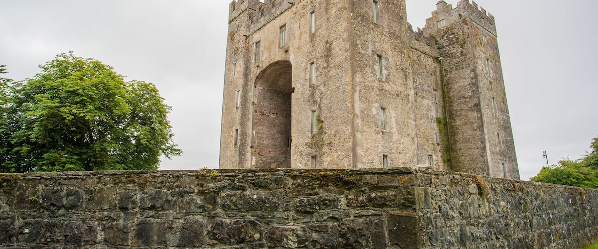 Bunratty Castle and Folk Park showing chateau or palace and heritage architecture