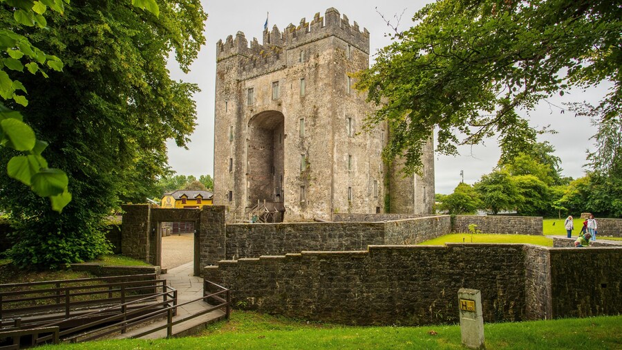 Bunratty Castle and Folk Park featuring a castle and heritage architecture