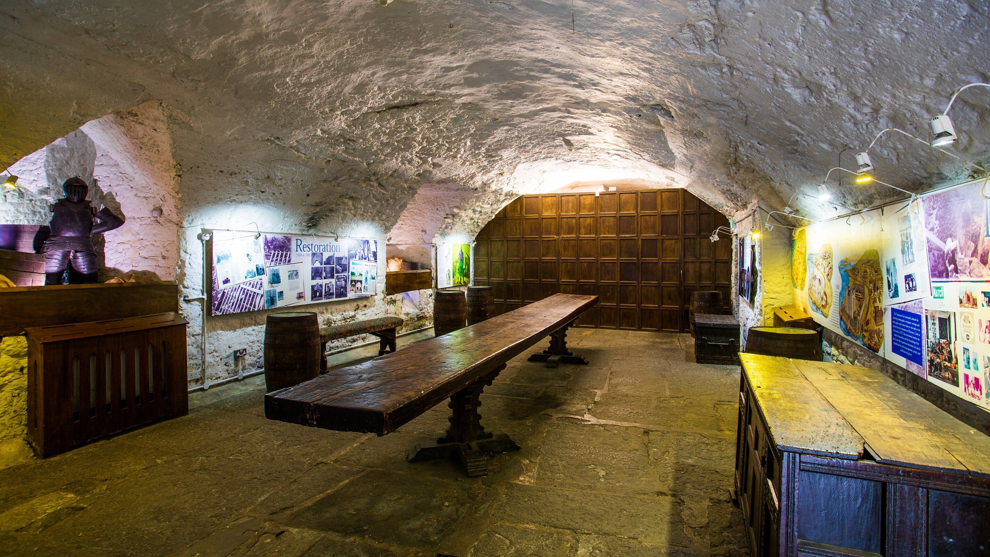 Bunratty Castle and Folk Park showing chateau or palace, heritage elements and interior views