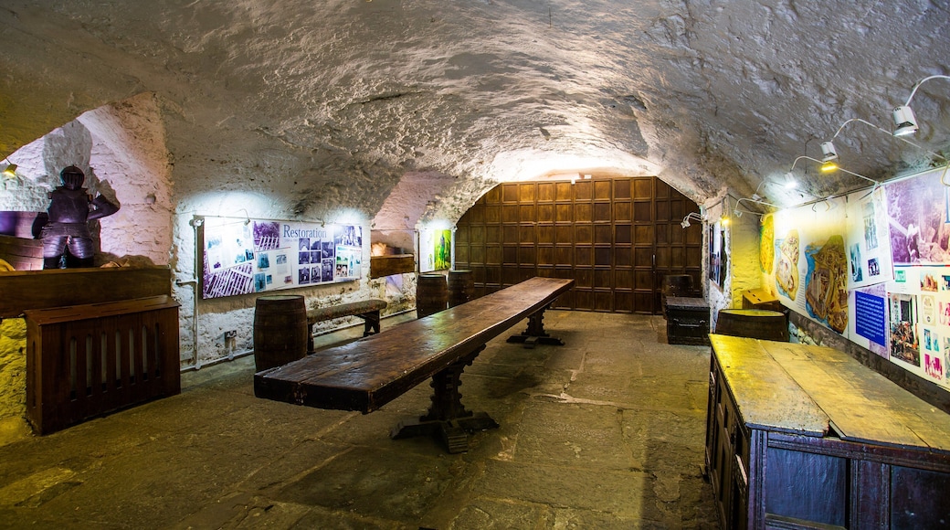 Bunratty Castle and Folk Park showing chateau or palace, heritage elements and interior views