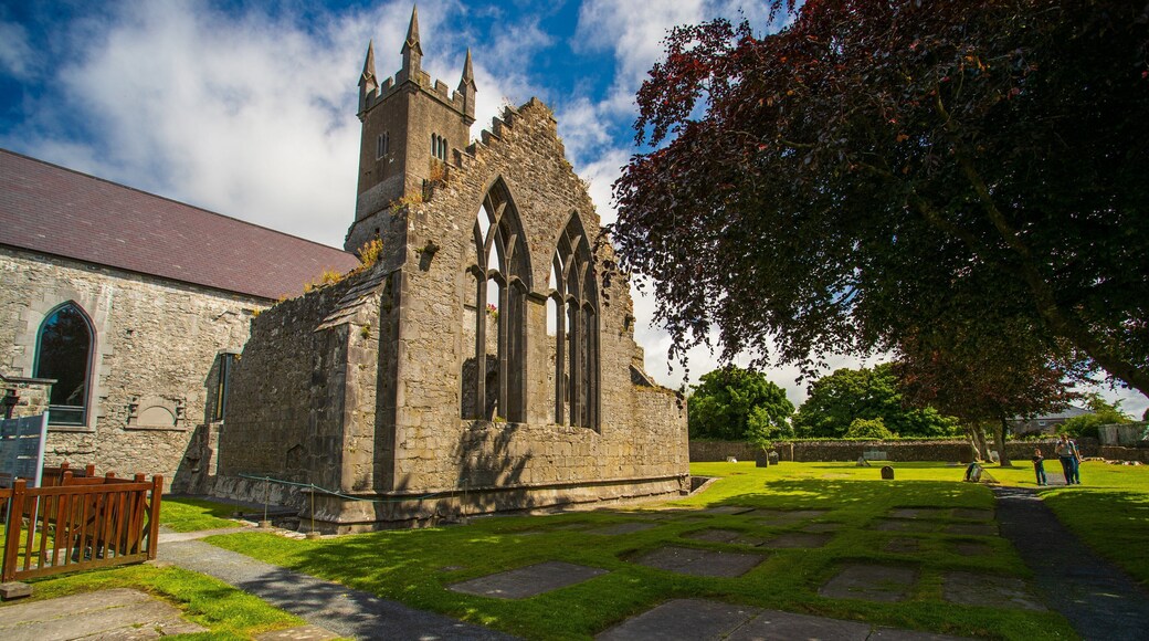 Ennis Friary which includes building ruins and heritage architecture
