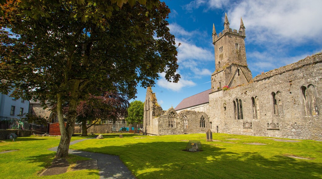 Ennis Friary which includes heritage architecture and a ruin