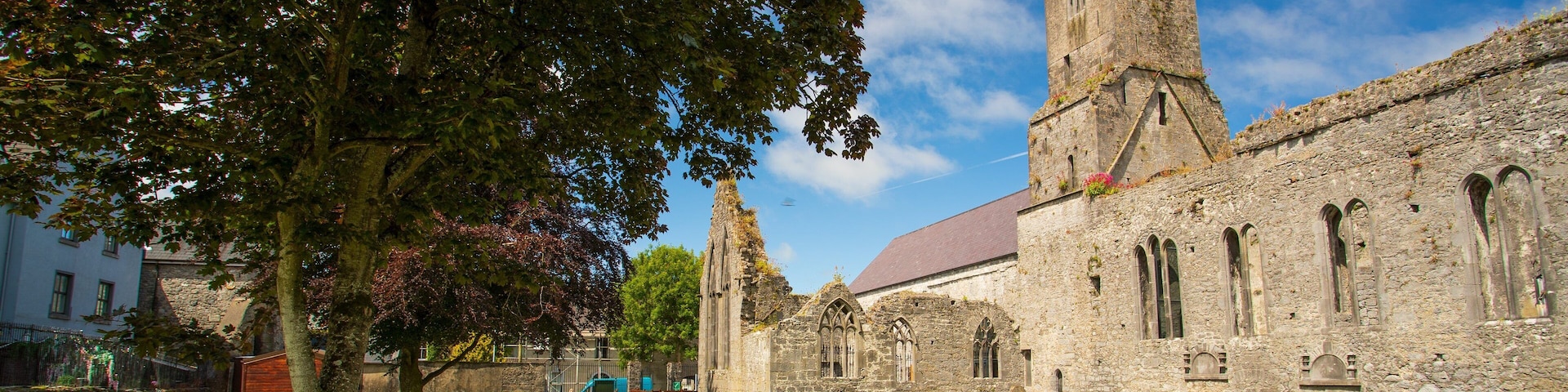 Ennis Friary which includes heritage architecture and a ruin
