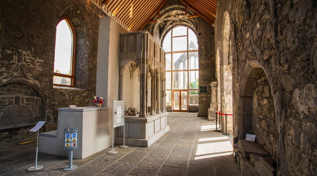 Ennis Friary which includes heritage elements and interior views