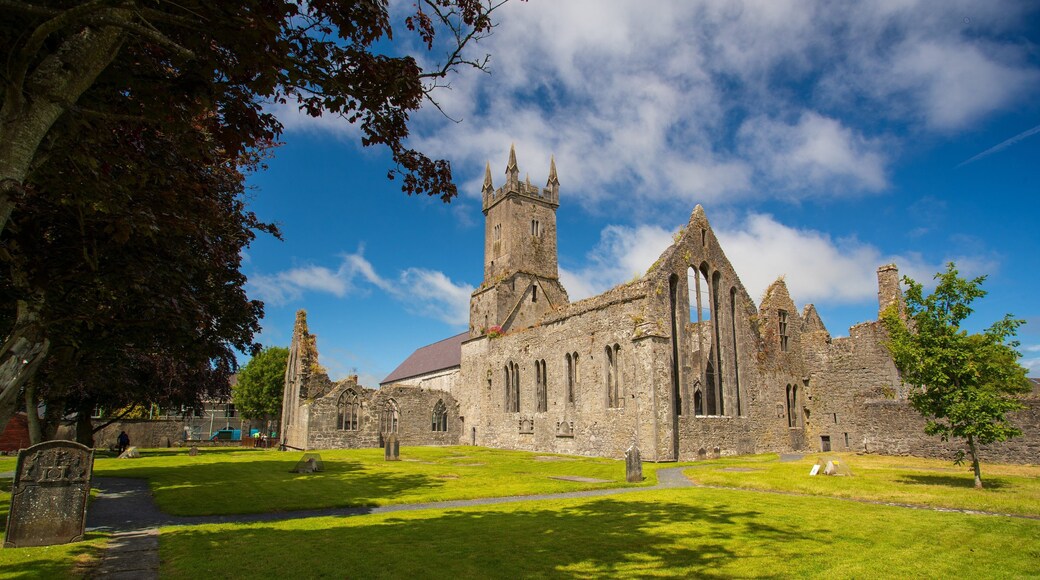 Ennis Friary featuring heritage architecture and a ruin