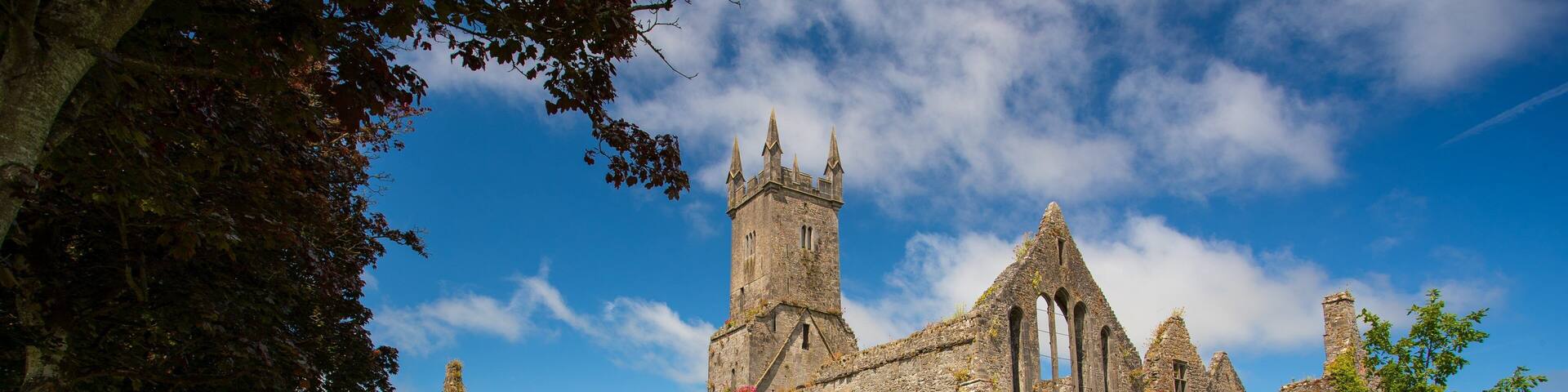 Ennis Friary featuring heritage architecture and a ruin