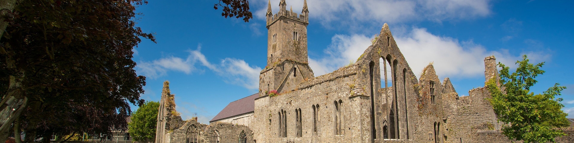 Ennis Friary featuring heritage architecture and a ruin