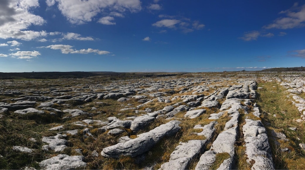 "Ireland?
Get ready for the rain!!", they say.
5 days, 5 sunny days!!!!
Beautiful!!!
🍀
Ireland