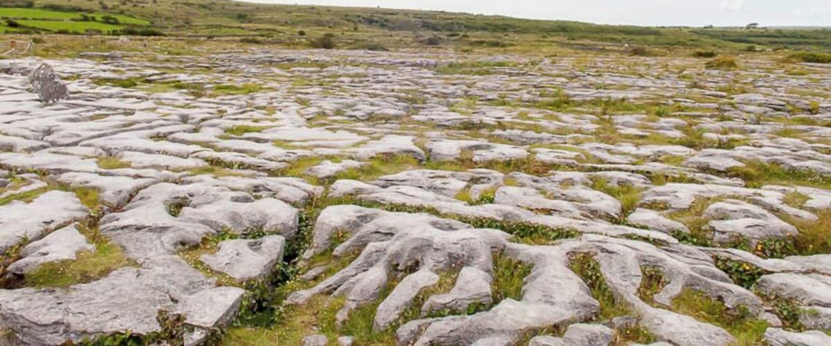 A rocky terrain with sparse vegetation under a cloudy sky.