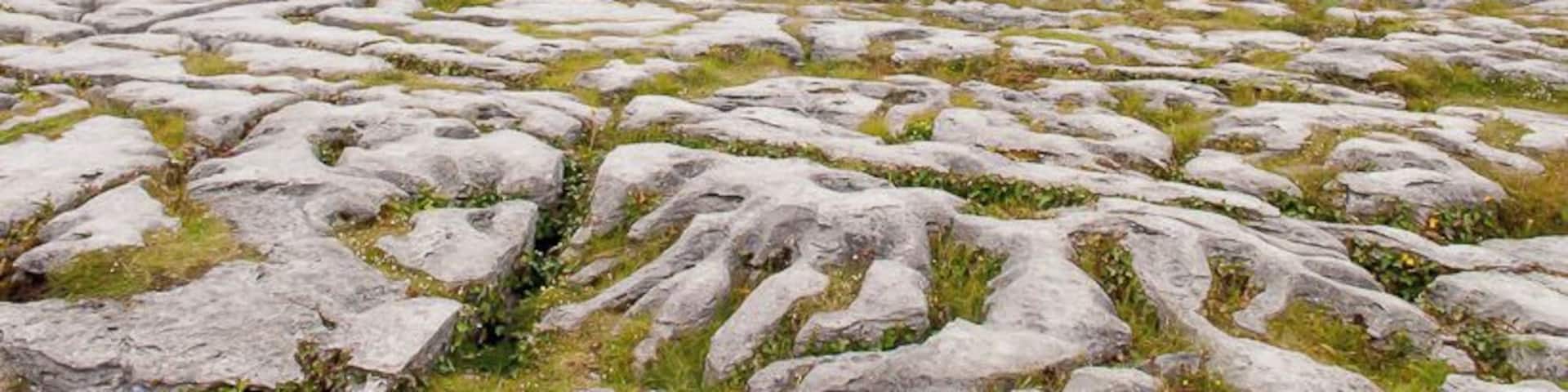 A rocky terrain with sparse vegetation under a cloudy sky.