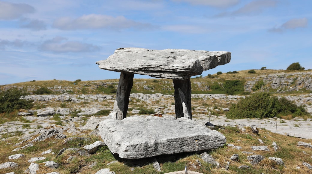 The Poulnabrone Dolmen is situated in Burren National Park, County Clare, Ireland. It is the oldest dated megalithic monument in Ireland. The remains of 21 people were found during excavations and radiocarbon dating of their bones indicated that this portal tomb was used for 600 years, more than 5,000 years ago. #History