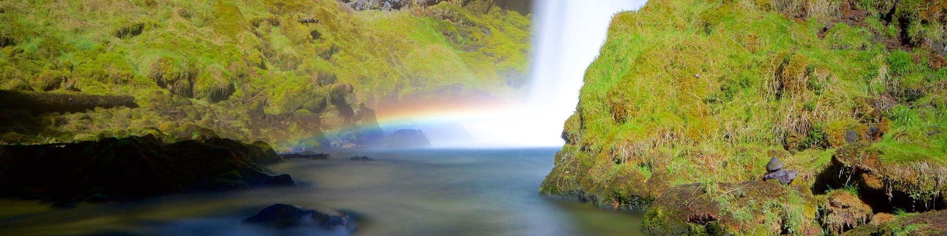 Willametten kansallismetsä johon kuuluu putous