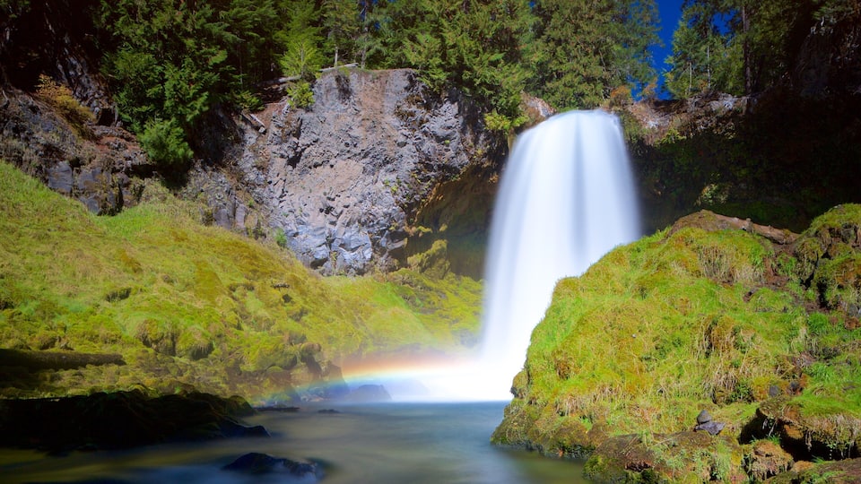 A waterfall surrounded by lush green mossy rocks and a forest.