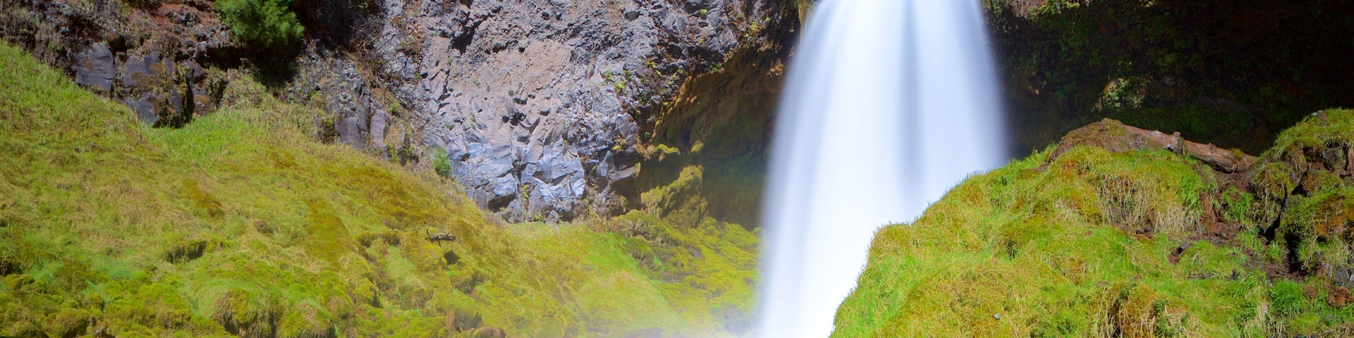 Willamette National Forest showing a waterfall