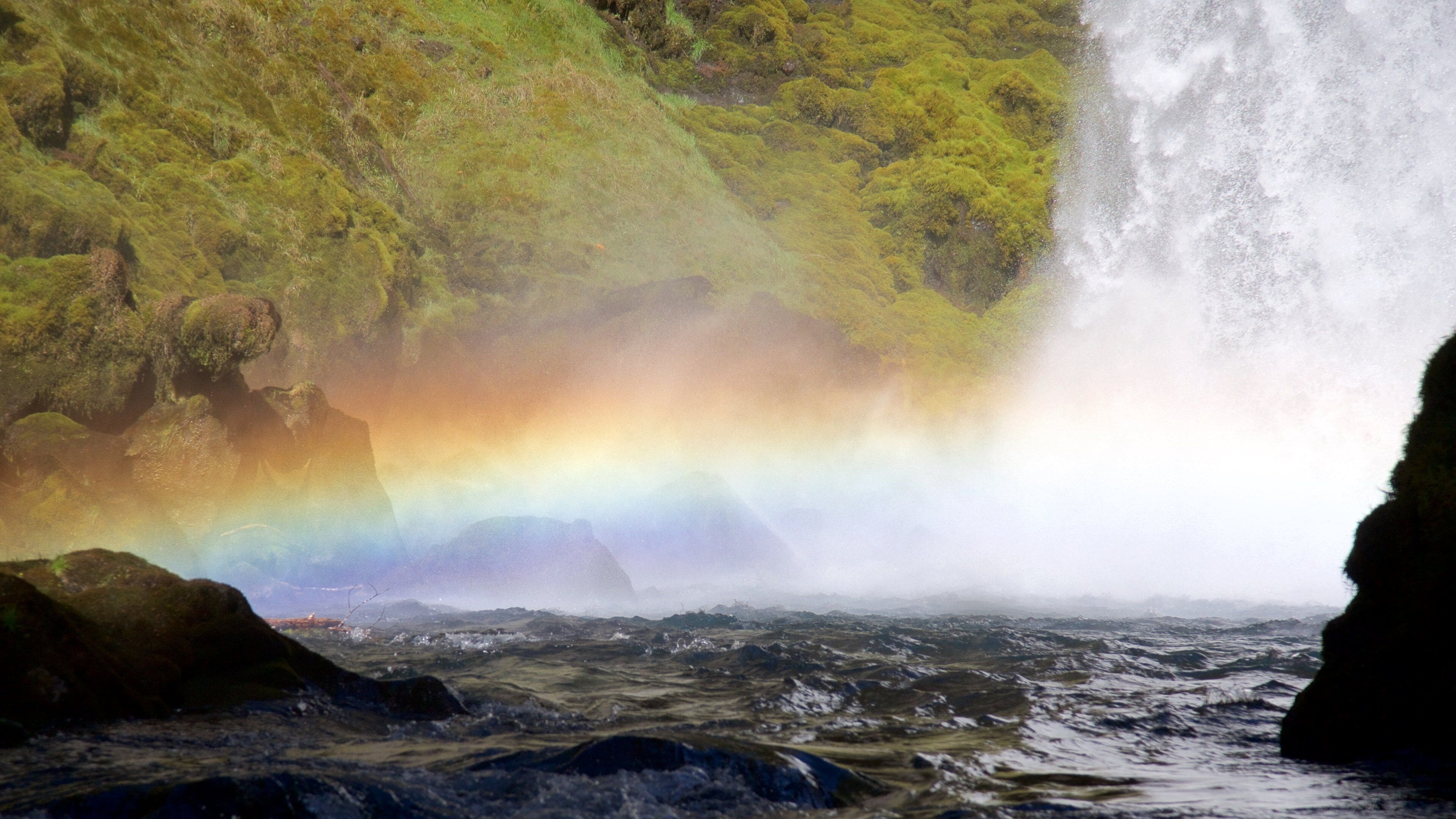 Willamette National Forest featuring a cascade