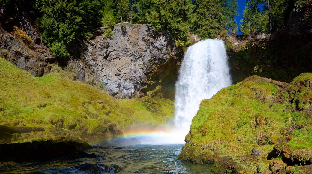 Willamette Valley inclusief een cascade en regenwoud