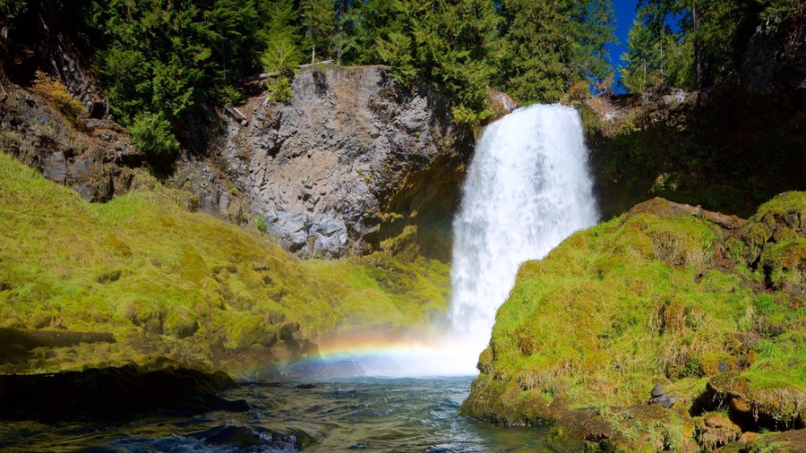 Willamette Valley featuring rainforest and a cascade