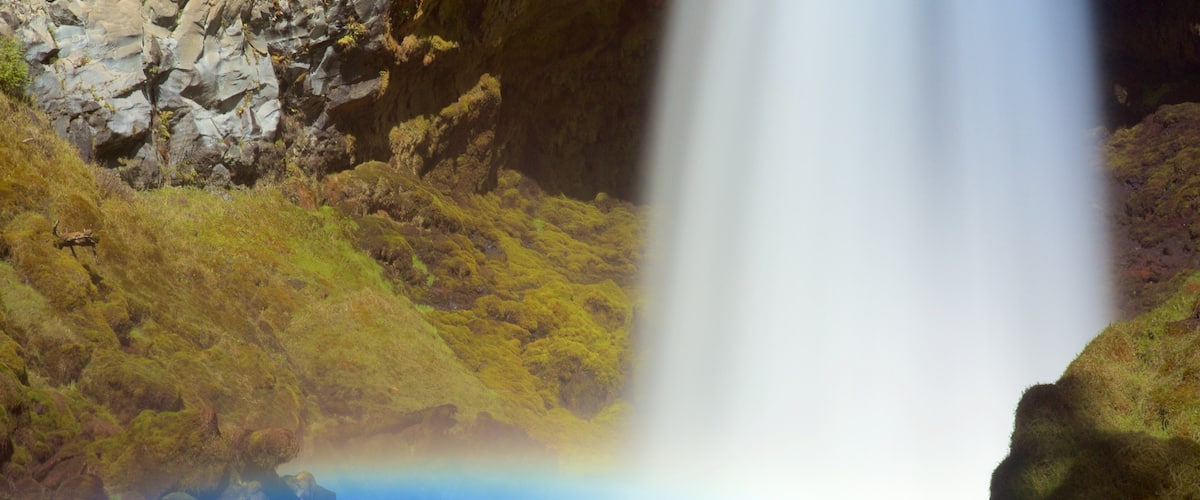 Willamette National Forest showing a waterfall