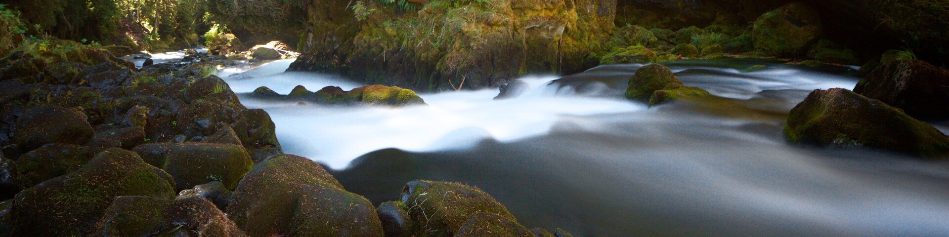 Un río serpentea por un bosque con rocas y árboles cubiertos de musgo.