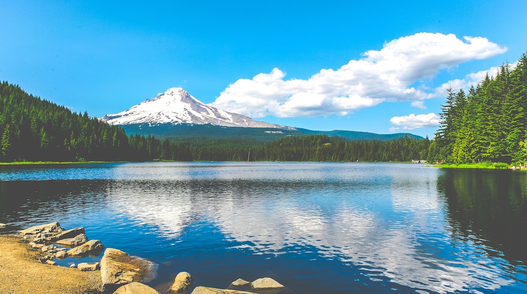 Mount Hood National Forest