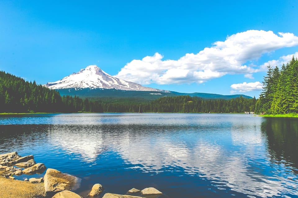A lake with a mountain in the background, surrounded by dense forest.