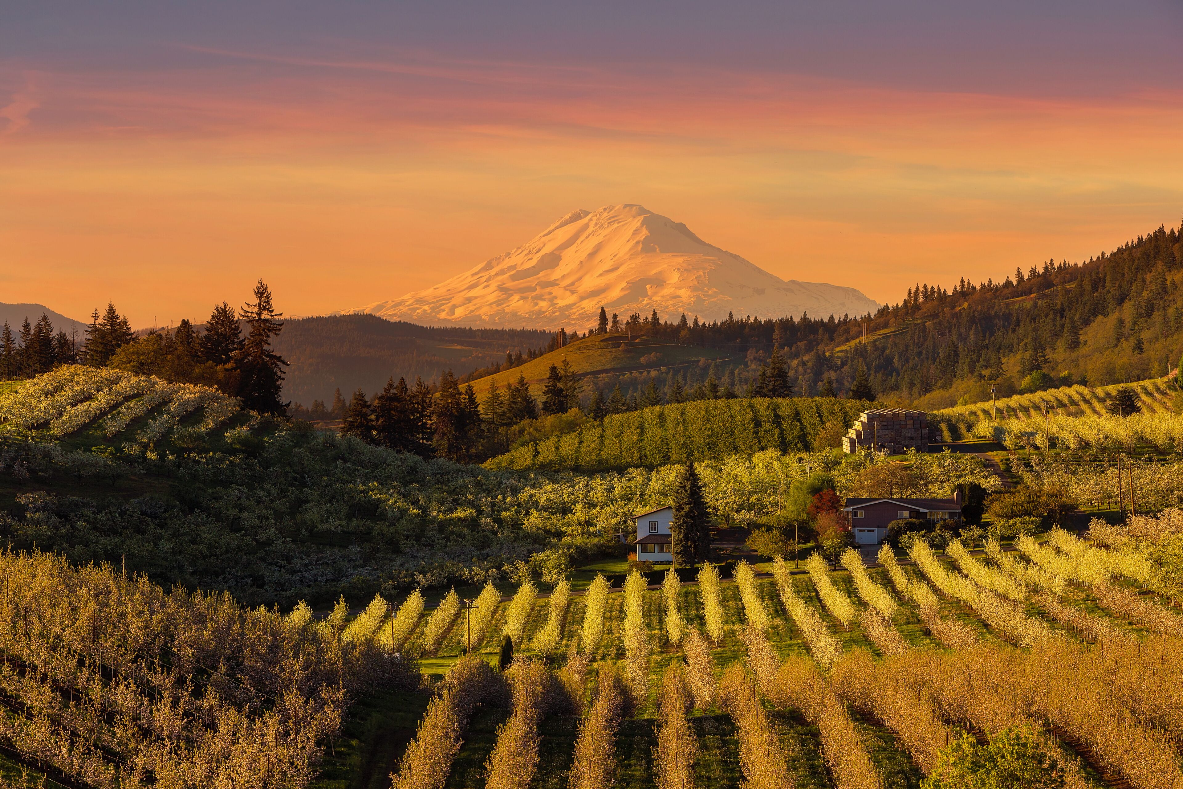 Mount Hood National Forest