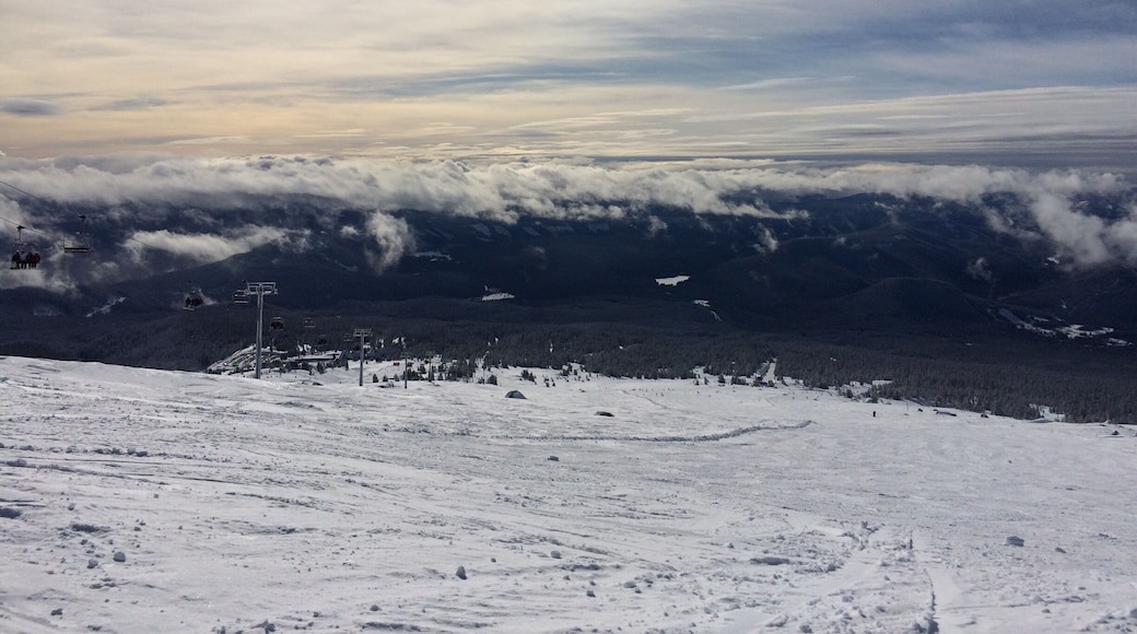A gorgeous place to board with less crowds on the lifts compared to Meadows