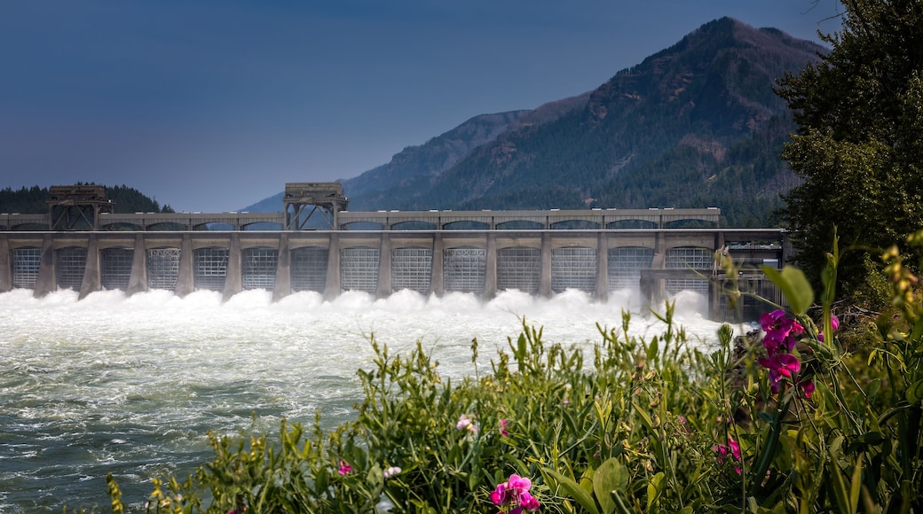Bonneville Lock and Dam