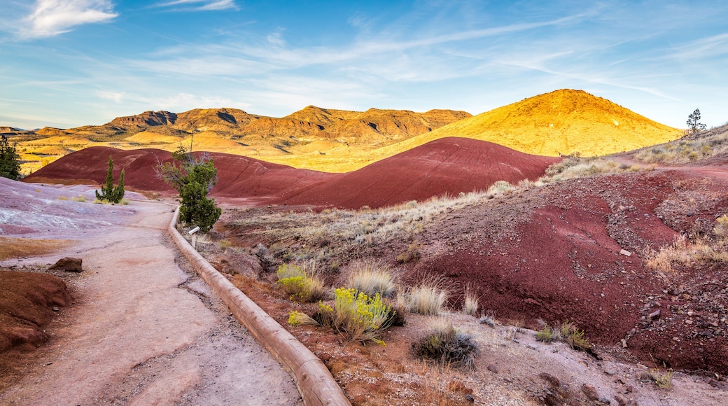 Monumento Nacional John Day Fossil Beds