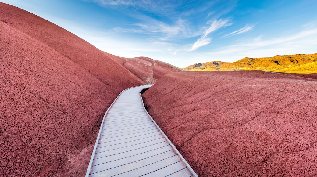 Monumento Nacional John Day Fossil Beds