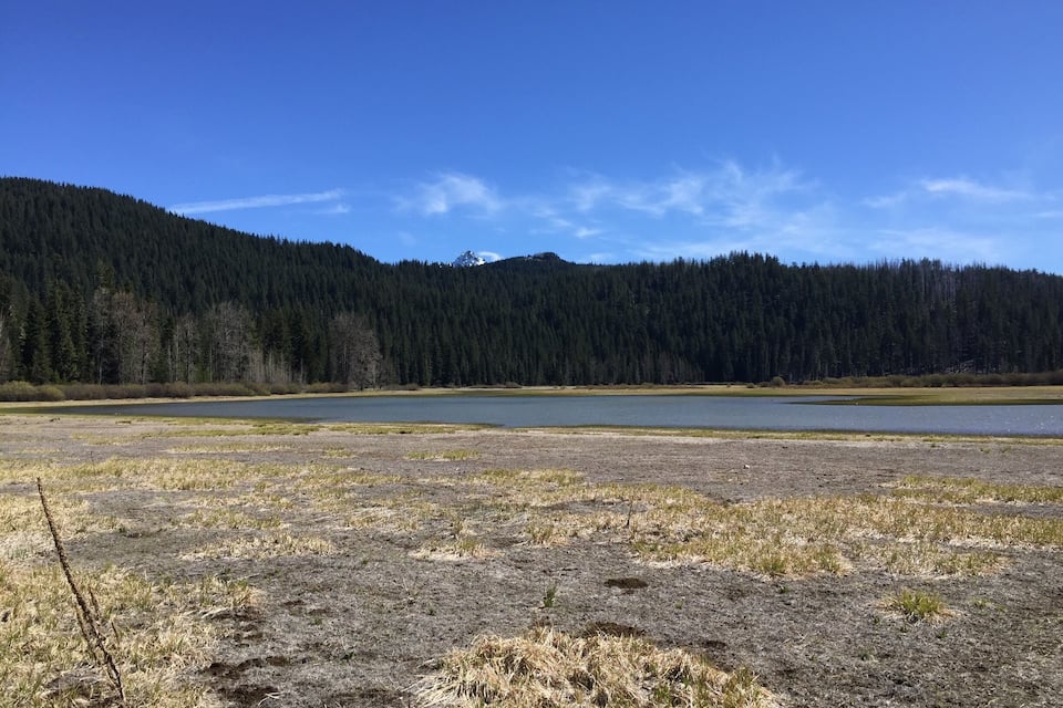 A lake surrounded by a forested hillside.
