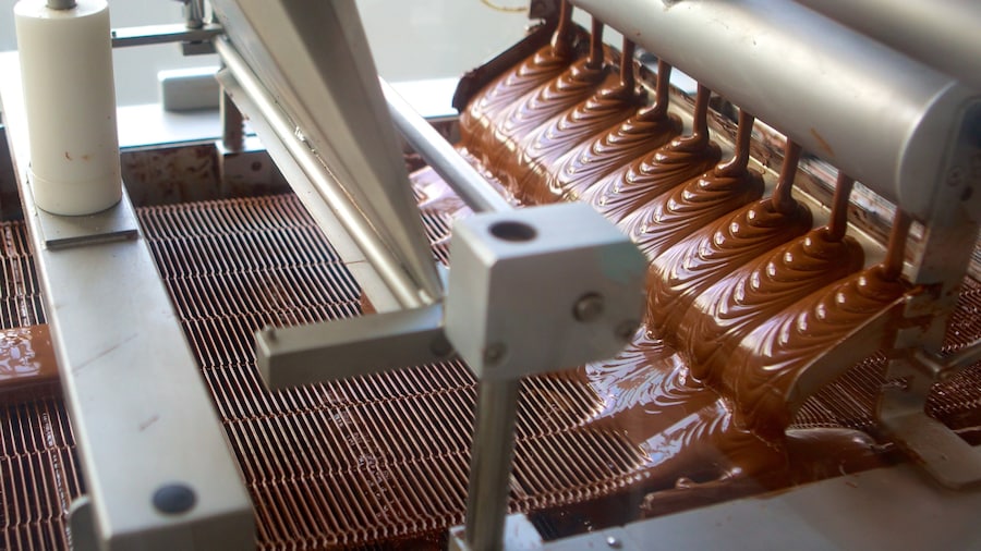 Hershey\'s Chocolate World which includes wildflowers, interior views and tropical scenes